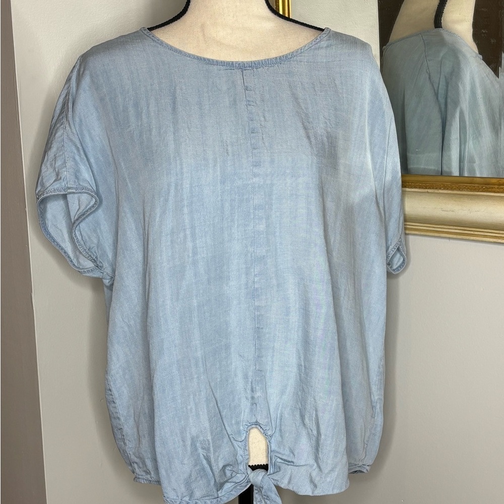 Velvet Heart Sky Blue Blouse